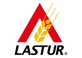 Logo lastur